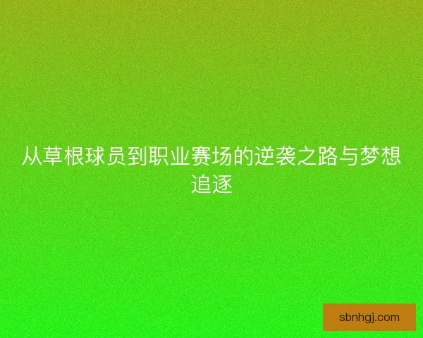 从草根球员到职业赛场的逆袭之路与梦想追逐